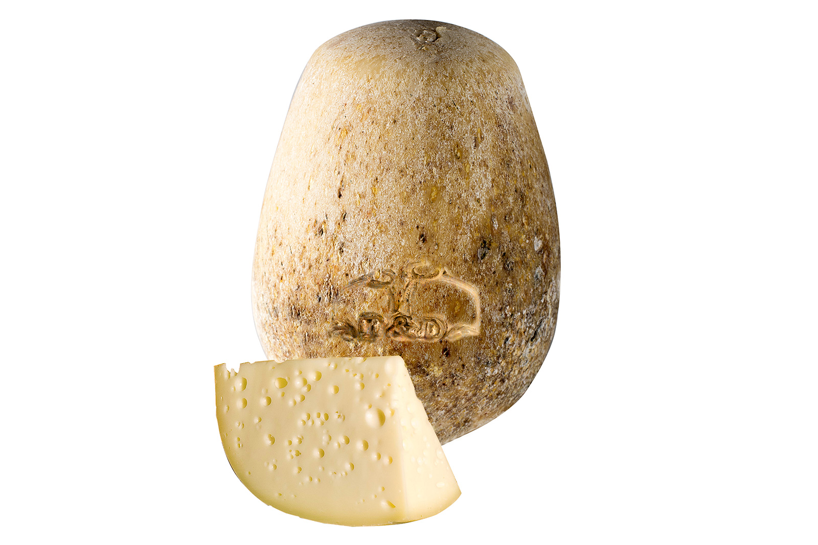 SCHIENA D’ASINO GIOVANE